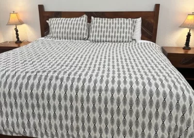 Amazing home cleaner