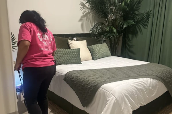 Professional cleaning services