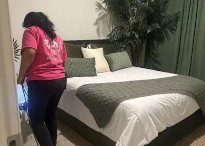 Professional home cleaner