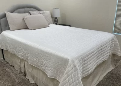 Top-rated home cleaner